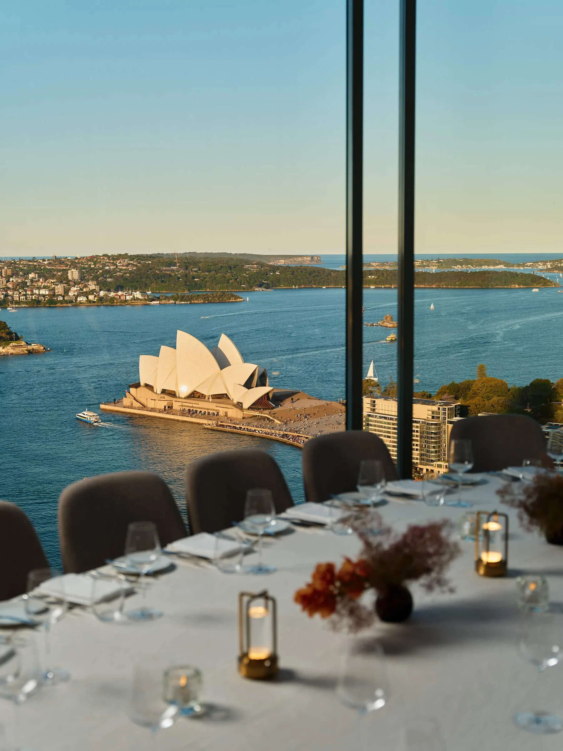Australia's Best Listing of Organic and Biodynamic Australian Wines pic